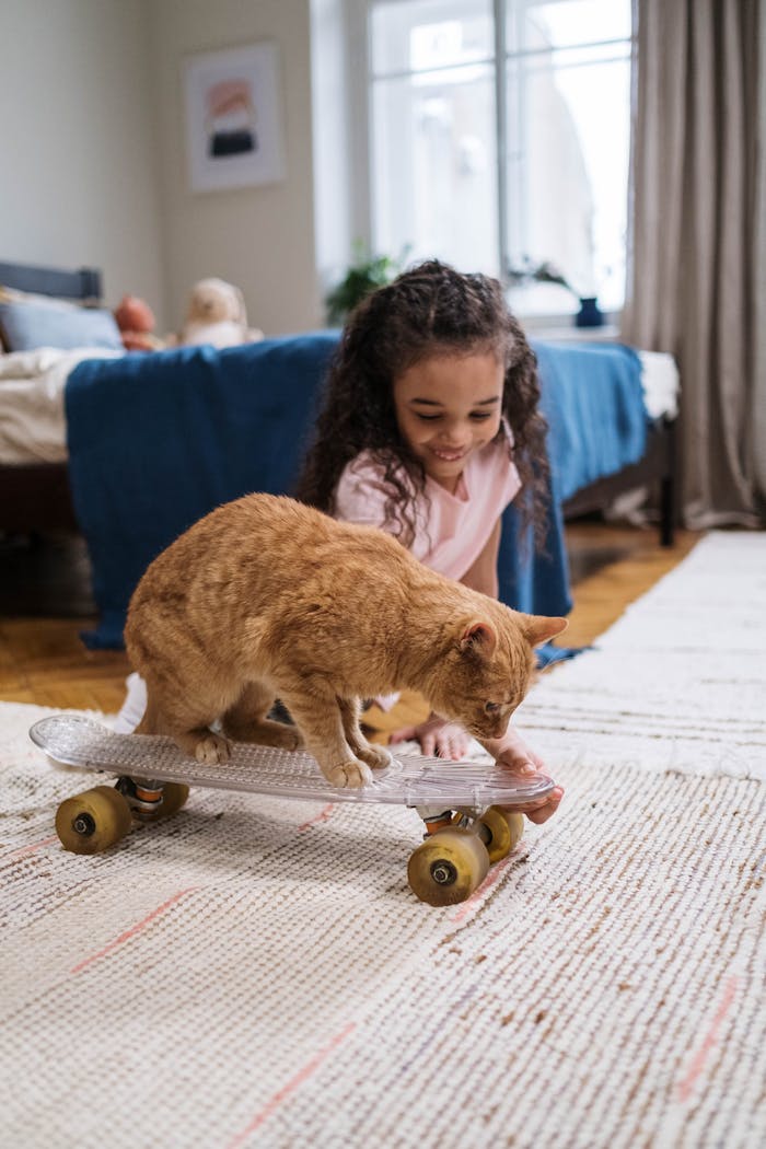 A young girl joyfully watches a ginger cat on a skateboard in a cozy room.